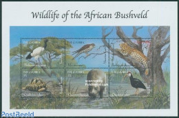 Gambia 2000 Animals 6v M/s, Sacred Ibis, Mint NH, Nature - Animals (others & Mixed) - Birds - Cat Family - Hippopotamu.. - Gambia (...-1964)