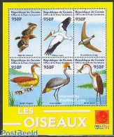 Guinea, Republic 2001 Birds 6v M/s, Mint NH, Nature - Birds - Ducks - Autres & Non Classés
