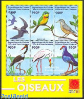 Guinea, Republic 2001 Birds 6v M/s / Hirondelle, Mint NH, Nature - Birds - Autres & Non Classés