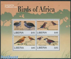 Liberia 2007 Birds Of Africa 4v M/s, Mint NH, Nature - Birds - Autres & Non Classés