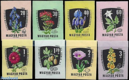 Hungary 1961 Medical Flowers 8v Imperforated, Mint NH, Nature - Flowers & Plants - Ongebruikt