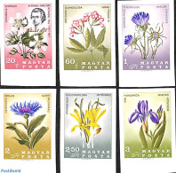Hungary 1967 Pal Kitaibel, Flowers 7v Imperforated, Mint NH, Nature - Flowers & Plants - Nuevos
