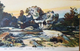 Fontainebleau - Forêt - Les Sphinx Des Druides - Fontainebleau
