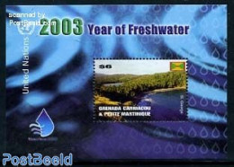 Grenada Grenadines 2003 Int. Fresh Water Year S/s, Mint NH, Nature - Water, Dams & Falls - Grenada (1974-...)