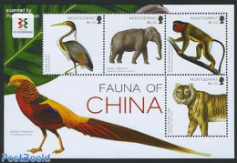 Montserrat 2011 Fauna Of China 4v M/s, Mint NH, Nature - Animals (others & Mixed) - Birds - Cat Family - Elephants - M.. - Autres & Non Classés