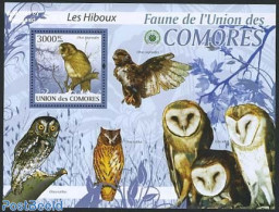 Comoros 2009 Owl S/s, Mint NH, Nature - Birds - Birds Of Prey - Owls - Komoren (1975-...)