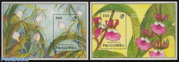 Gambia 1989 Orchids 2 S/s, Mint NH, Nature - Flowers & Plants - Orchids - Gambia (...-1964)