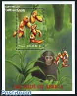 Gambia 2001 Belgica, Orchids S/s, Disa Sp., Mint NH, Nature - Flowers & Plants - Orchids - Gambie (...-1964)