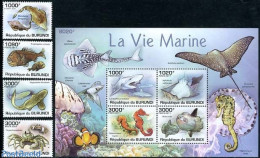 Burundi 2011 Marine Life 4v + S/s, Mint NH, Nature - Fish - Sharks - Fishes