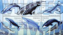 Micronesia 2001 Whales 6v M/s, Mint NH, Nature - Sea Mammals - Micronésie