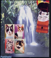 Micronesia 2003 Cats 4v M/s, Ragdoll, Mint NH, Nature - Cats - Micronésie