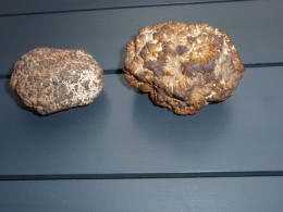 Deux Marcassites Différentes - Minerals