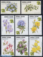 Sierra Leone 1999 Australia, Flowers 8v, Mint NH, Nature - Flowers & Plants - Other & Unclassified