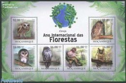 Mozambique 2011 Int. Forest Year, Owls 6v M/s, Mint NH, Nature - Birds - Birds Of Prey - Owls - Mozambico