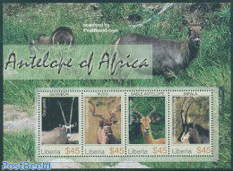 Liberia 2005 Antlopes 4v M/s, Mint NH, Nature - Animals (others & Mixed) - Autres & Non Classés