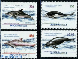 Micronesia 2009 Dolphins 4v, Mint NH, Nature - Sea Mammals - Micronésie