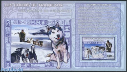 Congo Dem. Republic, (zaire) 2006 Polar Dogs S/s, Mint NH, Nature - Science - Dogs - The Arctic & Antarctica - Autres & Non Classés