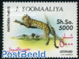 Somalia 1992 5000Sh., Stamp Out Of Set, Mint NH, Nature - Cat Family - Somalië (1960-...)