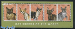 Tuvalu 2012 Cat Breeds Of The World 5v M/s, Mint NH, Nature - Cats - Other & Unclassified