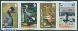 Gambia 2006 WWF, Birds 4v [:::] Or [+], Mint NH, Nature - Birds - World Wildlife Fund (WWF) - Gambia (...-1964)