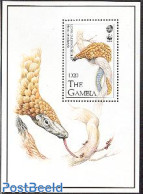 Gambia 1993 WWF S/s, Mint NH, Nature - Animals (others & Mixed) - World Wildlife Fund (WWF) - Gambie (...-1964)