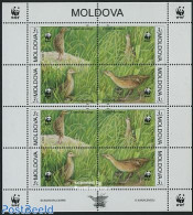 Moldova 2001 WWF, Birds M/s, Mint NH, Nature - Birds - World Wildlife Fund (WWF) - Other & Unclassified