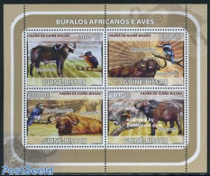 Guinea Bissau 2008 Buffalo & Birds 4v M/s, Mint NH, Nature - Animals (others & Mixed) - Birds - Guinée-Bissau