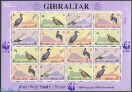 Gibraltar 1991 WWF, Birds M/s, Mint NH, Nature - Birds - World Wildlife Fund (WWF) - Gibraltar