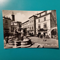 Cartolina Viterbo - Piazza Delle Erbe. Viaggiata 1955 - Viterbo