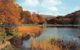 R153842 Rydal Water Towards Wansfell. English Lakes. Salmon. 1980 - Monde