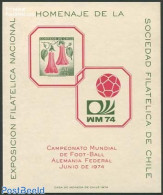 Chile 1965 Football/Exhibition Special Sheet (no Postal Value), Mint NH, Nature - Sport - Flowers & Plants - Football - Chili