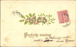 Gaufré CPA Jahreszahl 1905, Stechpalme, Mistelzweige - Autres & Non Classés