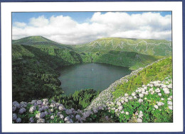 Açores - Flores. Cratera Vulcânica Da Lagoa Verde - Açores