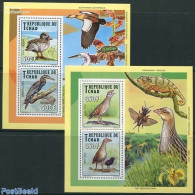 Chad 2012 Waterbirds 2 S/s, Mint NH, Nature - Birds - Ducks - Andere & Zonder Classificatie