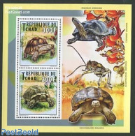 Chad 2012 Turtles S/s, Mint NH, Nature - Reptiles - Turtles - Sonstige & Ohne Zuordnung
