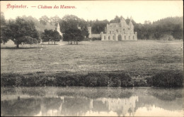CPA Pepinster Wallonia Lüttich, Chateau Des Mazures - Autres & Non Classés