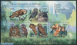 Comoros 2011 Owls 5v M/s, Mint NH, Nature - Birds - Birds Of Prey - Owls - Komoren (1975-...)