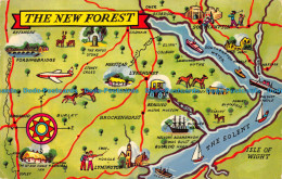 R153881 The New Forest. 1971 - Monde