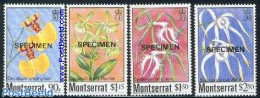 Montserrat 1985 Orchids 4v, SPECIMEN, Mint NH, Nature - Flowers & Plants - Other & Unclassified