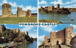 R153895 Pembroke Castle. Multi View. Salmon - Monde