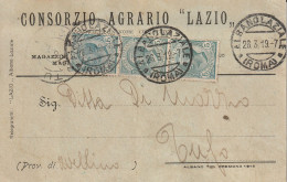 Italy. A219. Albano Laziale. 1919. Annullo ALBANO LAZIALE (ROMA) Su Cartolina Postale PUBBLICITARIA - Marcophilia