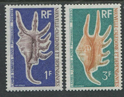 Nouvelle-Caledonie:New Caledonia:Unused Stamps Shells, 1972, MNH - Schelpen