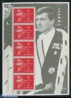 Netherlands 2013 King Willem Alexander M/s, Mint NH, History - Kings & Queens (Royalty) - Ongebruikt