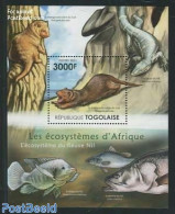 Togo 2011 African Eco Systems, Nile S/s, Mint NH, Nature - Animals (others & Mixed) - Fish - Fishes