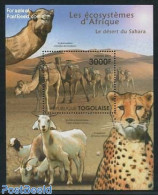 Togo 2011 African Eco Systems, Sahara S/s, Mint NH, Nature - Animals (others & Mixed) - Camels - Togo (1960-...)