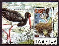 BULGARIA - 2000 - Cigogne - Bl Used - Blocks & Sheetlets