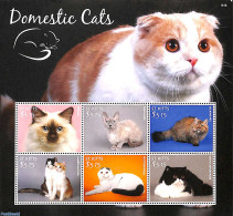 Saint Kitts/Nevis 2015 Domestic Cats 6v M/s, Mint NH, Nature - Cats - Autres & Non Classés