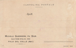 Italy. A219. Palo Del Colle. 1923. Cartolina Postale PUBBLICITARIA Non Viaggiata, Ma Con Testo Al Verso, Per Tufo - Marcophilie
