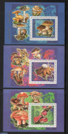 Comoros 1992 Mushrooms 3 S/s, Mint NH, Nature - Mushrooms - Champignons