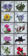 Jordan 2022 Flowers 10v, Mint NH, Nature - Flowers & Plants - Jordan